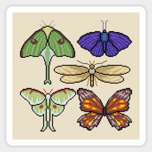 Pixel Moth Collection Magnet